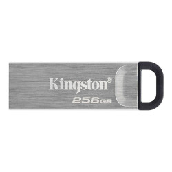 USB Flash Kingston DataTraveler Kyson 256GB (DTKN/256GB)- фото