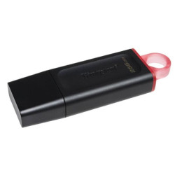 USB Flash Kingston DataTraveler Exodia 256GB (DTX/256GB)- фото2