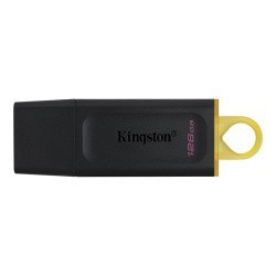 USB FLASH НАКОПИТЕЛЬ 128GB KINGSTON DATATRAVELER EXODIA USB3.2 (DTX/128GB)- фото